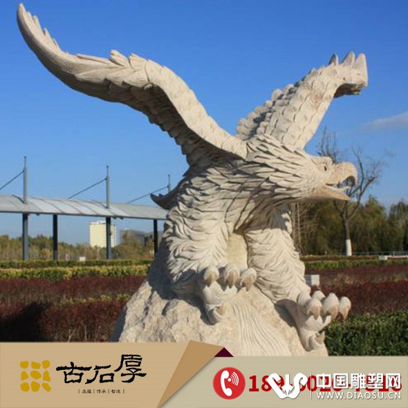 鹰2.jpg