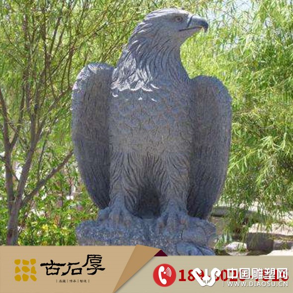 鹰3.jpg